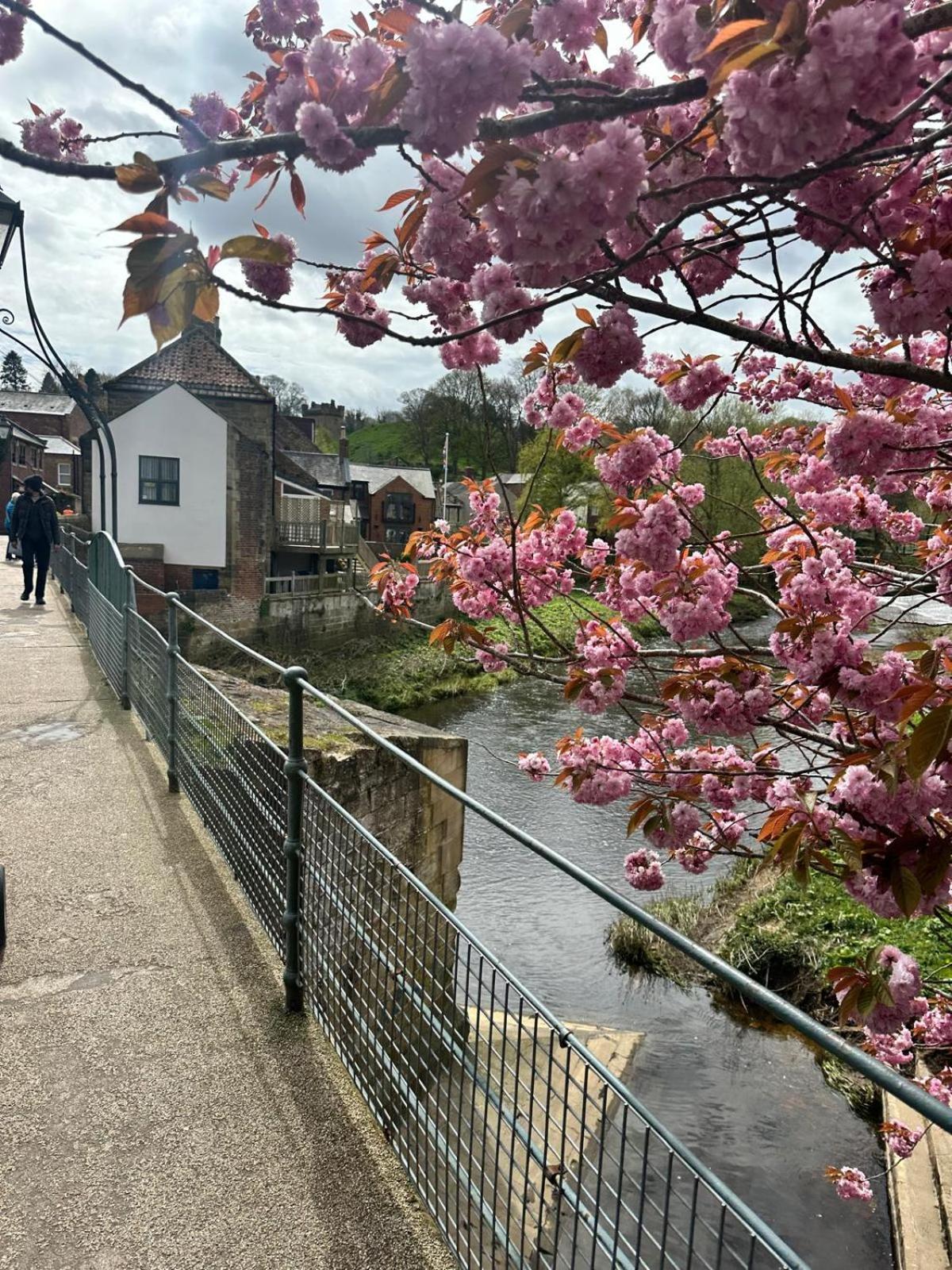 Town Center Cottage With Hot Tub Morpeth Εξωτερικό φωτογραφία
